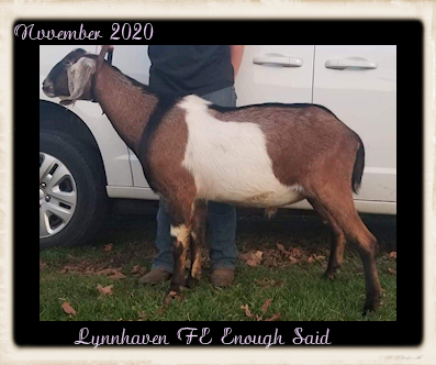 Lynnhaven FE Enough Said